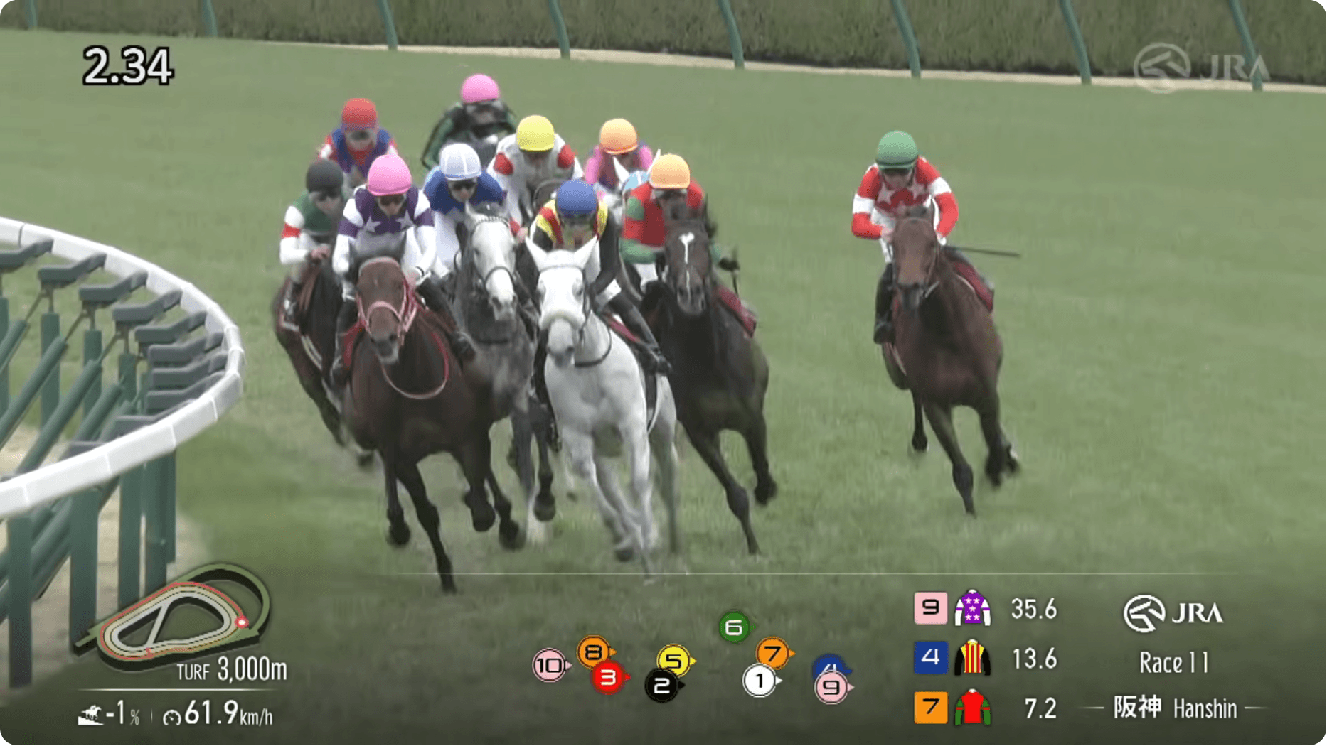 マイネルエンペラーは最後まで粘ってじわじわと脚を伸ばすも（阪神大賞典結果）