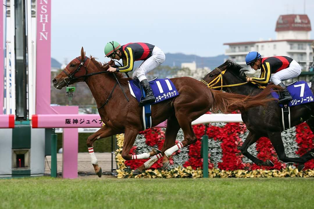 ラッキーライラック © JRA