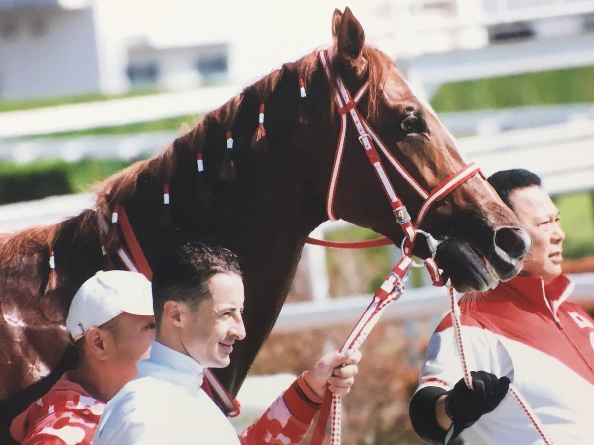 ダンサーバローズ（オルフェーヴル産駒）が大井競馬へ移籍 © @vegakocafe さん