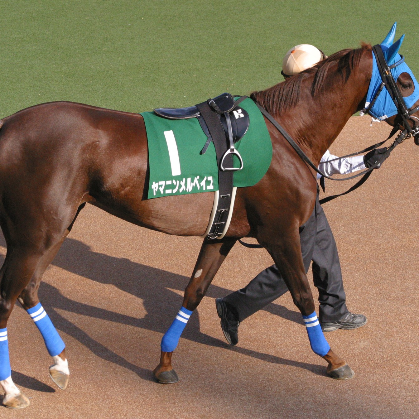 ヤマニンメルベイユが天に召される