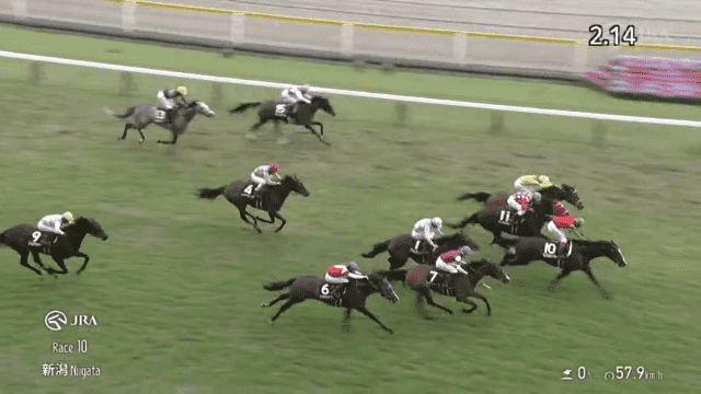 マイネルシーマー（ゴールドシップ産駒）がゴール前差し切って2勝目