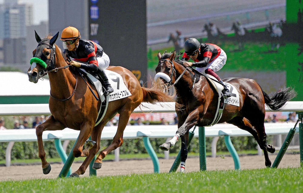 ホウオウピースフル（オルフェーヴル産駒）が新馬勝ち © スポニチ