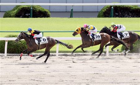 ザイツィンガー（ドリームジャーニー産駒）が差し切りで新馬勝ち