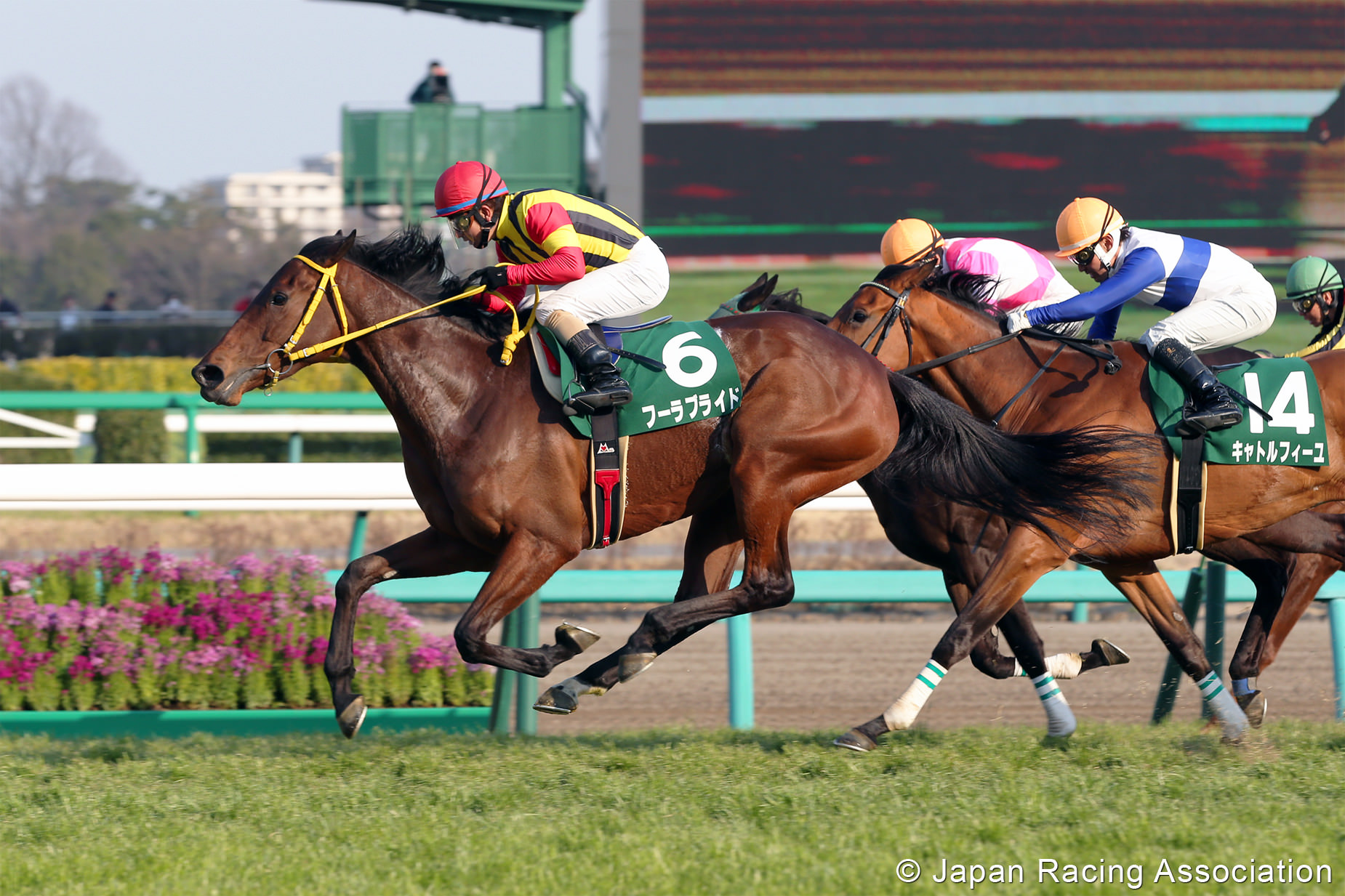 フーラブライド 中山牝馬S(GIII) 制覇 © JRA