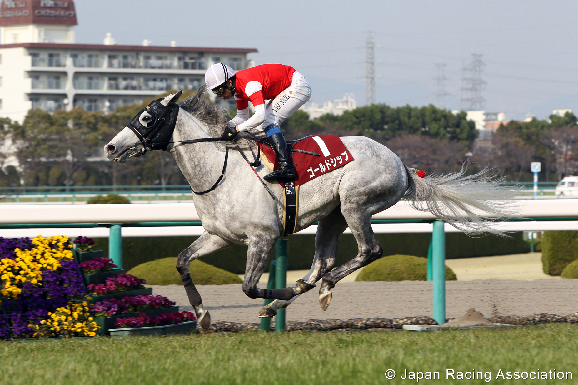 ゴールドシップが阪神大賞典を連覇 © JRA