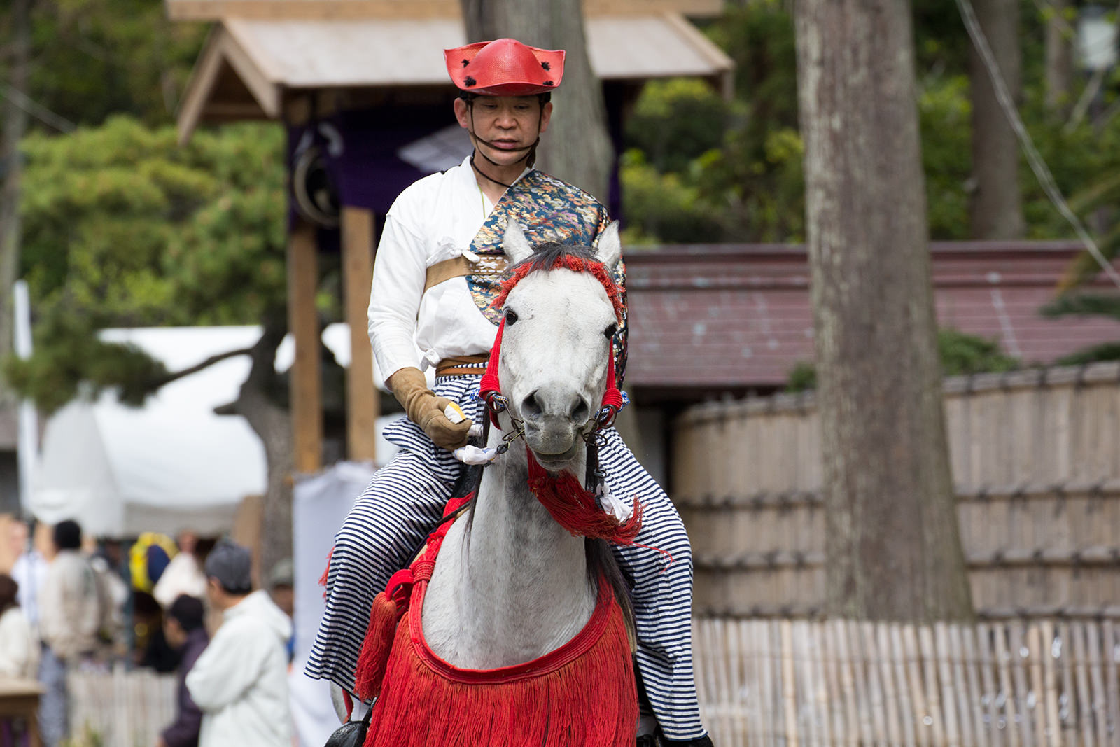 乗り手の阿部さんに「頭をあげちゃダメ！」 と叱られるも....