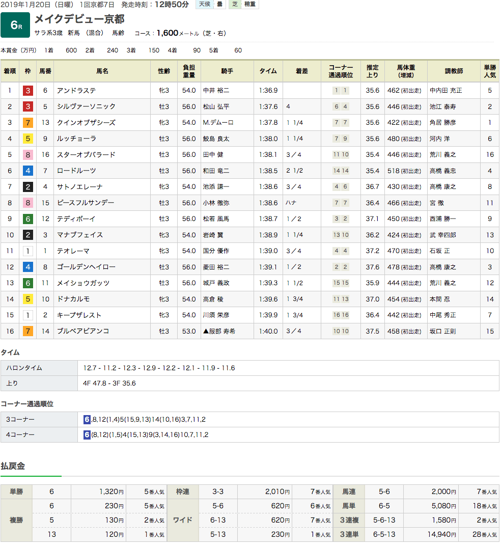 アンドラステ（オルフェーヴル産駒）が新馬勝ち