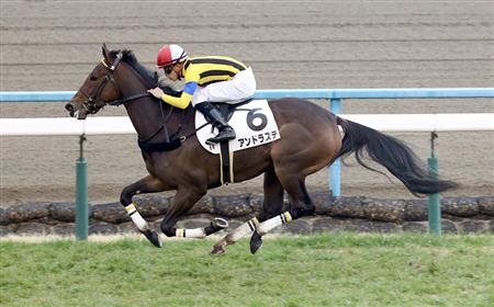 アンドラステ（オルフェーヴル産駒）が新馬勝ち © sanspo