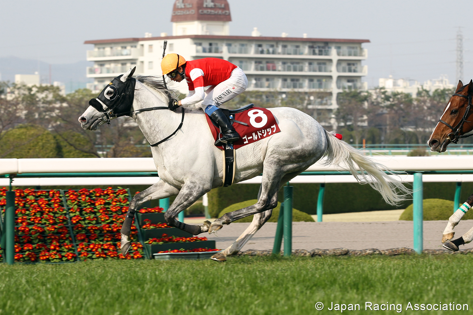 フーラブライドも健闘した阪神大賞典でゴールドシップが3連覇 © JRA