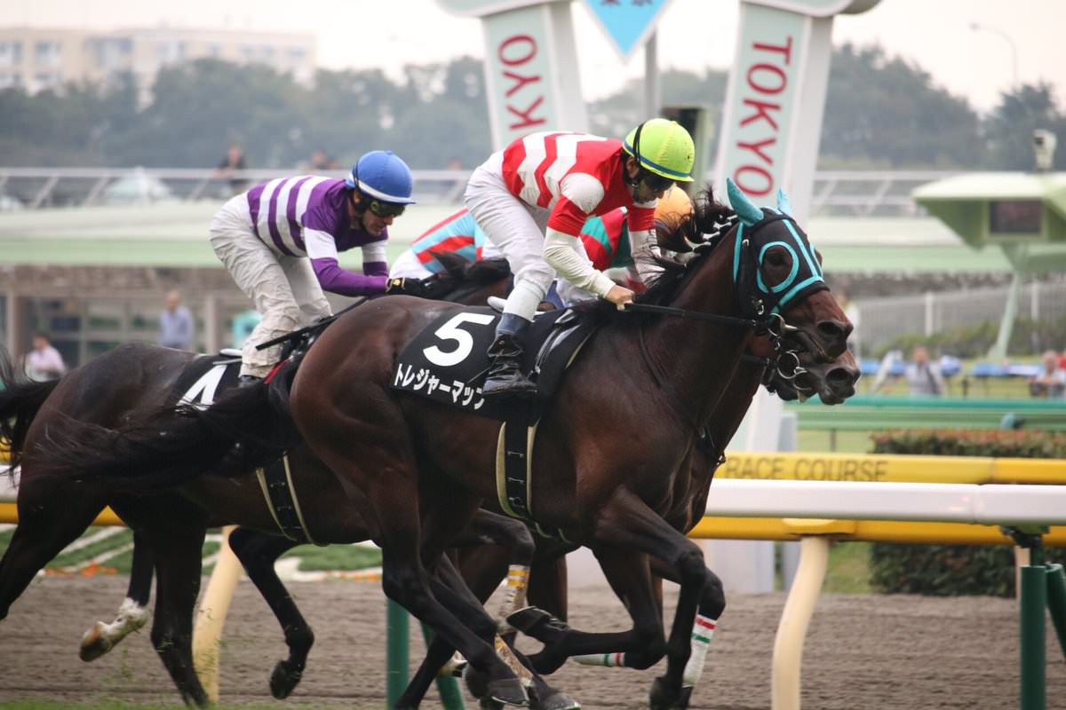 トレジャーマップが1年ぶりの勝利。内田博幸騎手JRA 通算1000勝に貢献 © @keibaphoto_pane