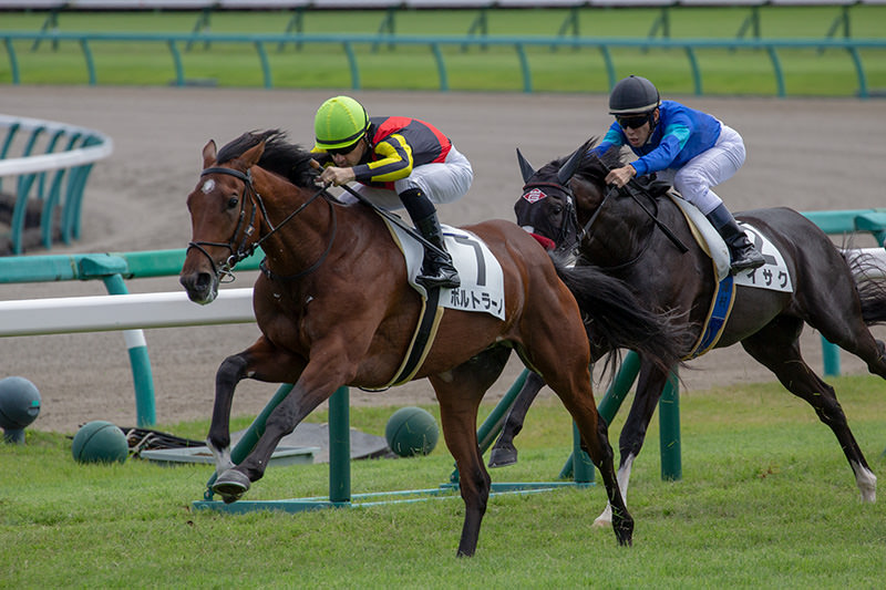 ポルトラーノ（オルフェーヴル産駒）は2着で出港