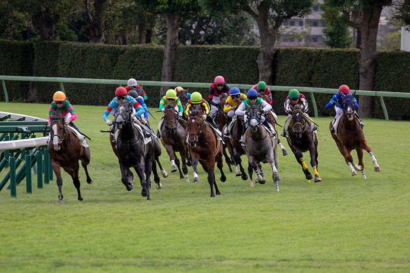 ポルトラーノ（オルフェーヴル産駒）は2着で出港