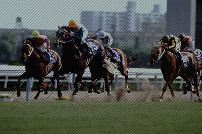 マックイーンの側から見る武豊騎手JRA 4000勝