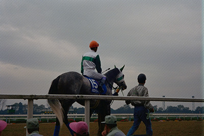 マックイーンを通して見る武豊騎手JRA 4000勝