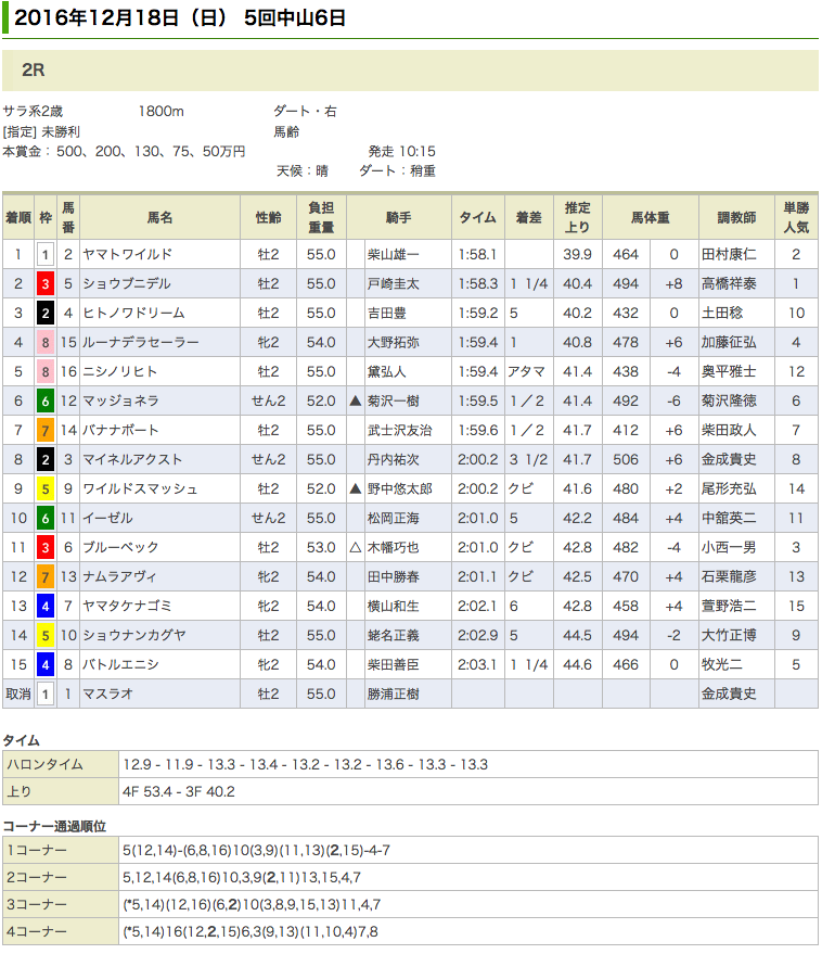 ヤマトワイルドがデビュー2戦目で初勝利